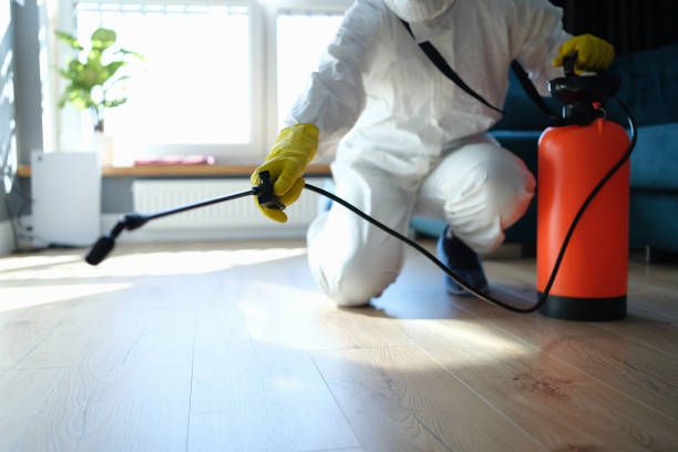 Reliable Blood Cleanup contractor in Pleasant Hill, CA by Trauma Clean Pros